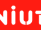 Aniuta Logo