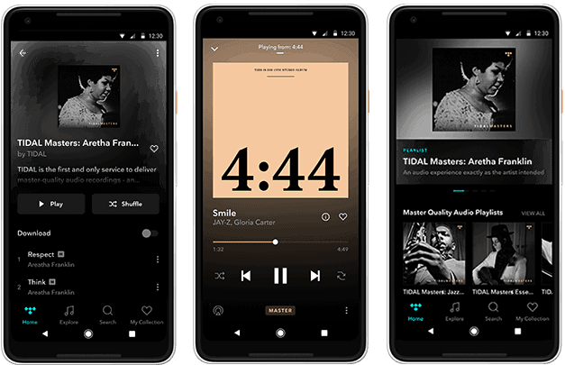 tidal app for apple watch tidal app for apple watch