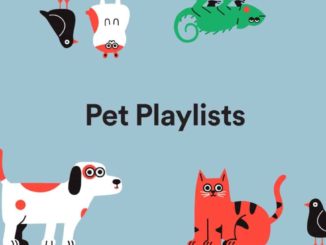 Spotify creates playlists for pets