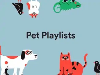 Spotify creates playlists for pets