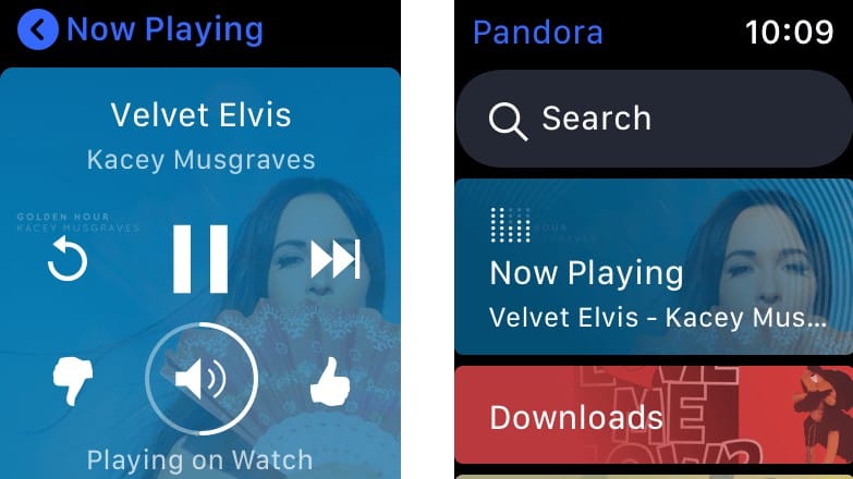 Play pandora from apple watch cheap